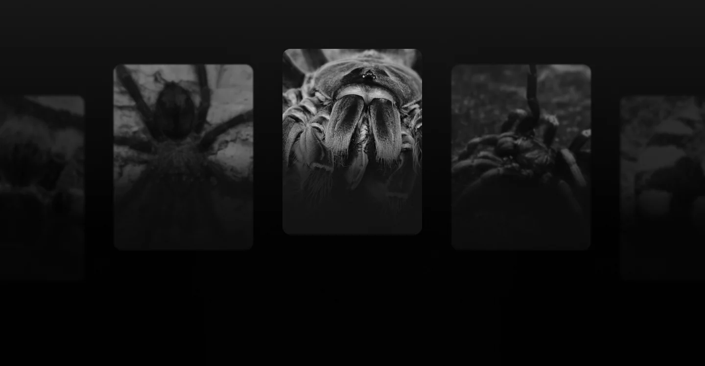Unleash the World's Finest Invertebrates